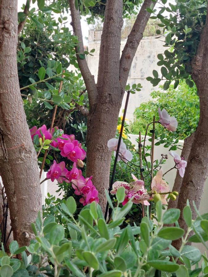 Casa D' Avo Zeza Διαμέρισμα Jardim do Mar Εξωτερικό φωτογραφία