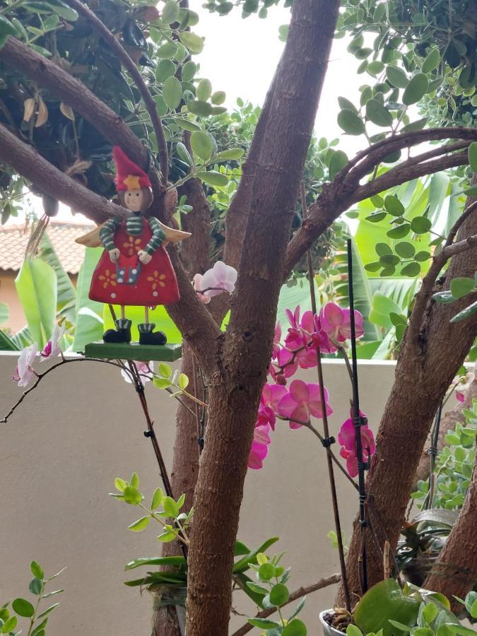 Casa D' Avo Zeza Διαμέρισμα Jardim do Mar Εξωτερικό φωτογραφία